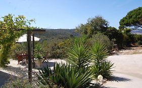 A Perfect Villa With Pool Terrace And Garden